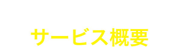 スポット税務調査のサービス概要